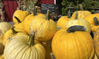 'Melow yellow' pumpkins displayed at a farmers market during the Autumn season in Markham,...