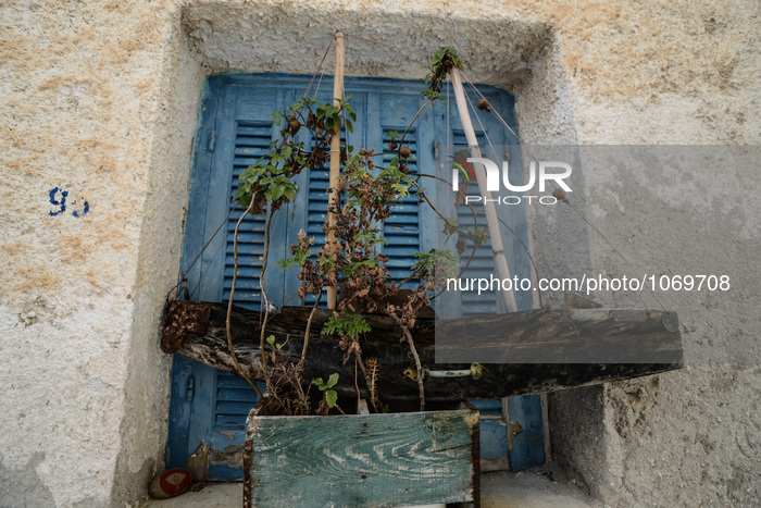 Greece and the phenomenon of spring within winter time