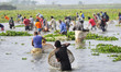 Rural people in Sylhet, Bangladesh, are celebrating the 100-year-old winter polo bawa fish...