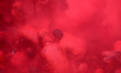Indian hindu devotees throw colored powder at Radha Rani Temple during Lath mar Holi in Ba...