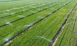 Farmers are using a telescopic water-fertilizer integrated intelligent sprinkler irrigatio...