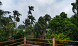 Trees sway in the wind following the landfall of Cyclone Remal, which cut the electricity...