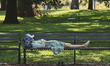 A person is taking an afternoon nap on a park bench at Queens Park in Toronto, Ontario, Ca...
