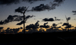 A view of the wind turbines at sunset from the highway Sweden, on September 11, 2024. -Swe...