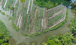 Aerial view of farmers cultivating vegetables on floating gardens in Nazirpur, Pirojpur, B...