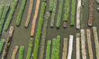 Aerial view of farmers cultivating vegetables on floating gardens in Nazirpur, Pirojpur, B...