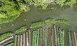 Aerial view of farmers cultivating vegetables on floating gardens in Nazirpur, Pirojpur, B...