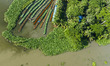 Aerial view of farmers cultivating vegetables on floating gardens in Nazirpur, Pirojpur, B...