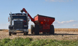 A farmer harvests soybeans in Markham, Ontario, Canada, on September 30, 2024. 
