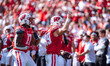 Wisconsin Badgers safety Cayson Pfeiffer #99 recovers a fumbled punt against the Purdue Bo...