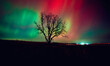 The night sky in Wisconsin glows with the Northern Lights as a geomagnetic storm brings vi...