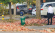 A boy uses a leaf blower to clear fallen leaves during the autumn season in Toronto, Ontar...
