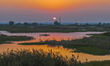 The first batch of winter migratory birds flies in the Linhuai section of Hongze Lake Wetl...