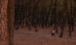 Kashmiri boys play cricket during the autumn season in Sopore, Jammu and Kashmir, India, o...