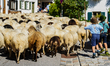The streets of Mittenwald, Germany, on September 7, come alive with the sound of bleating...