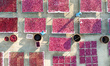 Farmers dry radishes in Suqian, Jiangsu province, China, on November 30, 2024. 