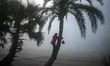 A worker collects juice from a date palm tree to produce date jaggery in Magura, Banglades...