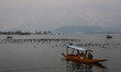 Migratory birds float as shikaras move on the famous Dal Lake in Srinagar, Jammu and Kashm...