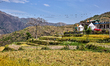 Small Hindu temples overlook wheat fields in Sainji Village in Mussoorie, Uttarakhand, Ind...