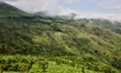 Lush vegetation grows along the mountainside in Dindigul, Tamil Nadu, India, on May 15, 20...