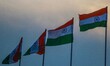 Indian flags are pictured ahead of India's Republic Day in Srinagar, Jammu and Kashmir, on...