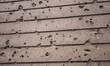The cars of automatic weapons, used during World War II, are seen on the facade of a build...