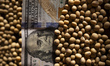 Soybeans and a U.S. one hundred dollar bill are shown in this picture illustration in Buen...