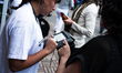 Volunteers at the presidential elections in Bogotá, Colombia are validating citizens by fi...