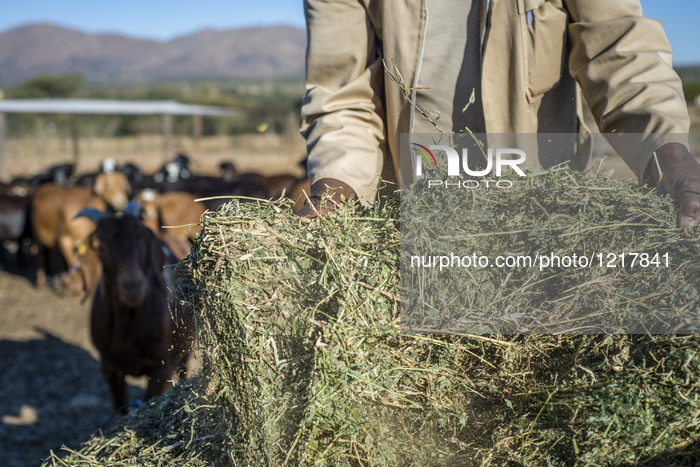 Neudamm Farm Of the University of Namibia