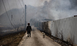 Jindo and Heungdung-i, two dogs, follow their owner at the site of a recycling center in G...