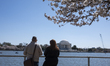People enjoy cherry blossoms as they begin to bloom along the Tidal Basin in Washington, D...