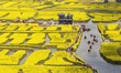 Tourists view rapeseed flowers by boat in Xinghua Rapeseed Scenic Area in Jiangsu province...