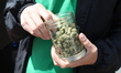 A vendor holds up a jar of marijuana to the camera at the 420 Celebration in Washington Sq...