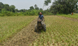 A farmer works in a field on a hot summer day on the outskirts of Kolkata, India, on May 4...