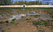 In Saix, France, on May 15, 2025, at the A69 construction site, Atosca attempts ecological...