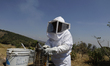 Martha Flores Garcia, a beekeeper, works with bees and breeding chambers between the borde...