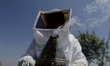 Martha Flores Garcia, a beekeeper, works with bees and breeding chambers between the borde...