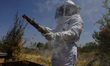 Martha Flores Garcia, a beekeeper, works with bees and breeding chambers between the borde...