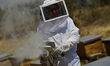 Martha Flores Garcia, a beekeeper, works with bees and breeding chambers between the borde...