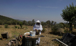 Martha Flores Garcia, a beekeeper, works with bees and breeding chambers between the borde...