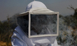 Martha Flores Garcia, a beekeeper, works with bees and breeding chambers between the borde...