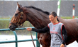 A groom breaks in a young thoroughbred racehorse in the walking ring during a short rain s...
