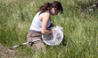University of California students collect insects in a field within Empire Mine State Park...
