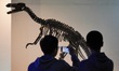 Visitors learn about paleontology at the Yantai Branch of the Geological Museum of China i...