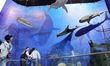 Visitors learn about marine animals at the Yantai Branch of the Geological Museum of China...