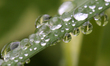 Raindrops rest on a blade of grass during a rainy day in Toronto, Ontario, Canada, on May...