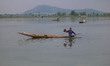 A member of the Jammu and Kashmir Lakes and Waterways Authority removes weeds from Dal Lak...