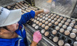 Workers sort eggs in the workshop in Bijie City, Guizhou Province, China, on June 17, 2025...