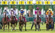 They are off in the 16:00 REDCAR - 1m 2f 1y Visit racingtv.com To Subscribe Today Novice S...