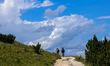 A cyclist tours between Partnachklamm and Schachen in Garmisch-Partenkirchen, Upper Bavari...